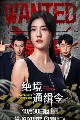 【国产剧】绝境通缉令