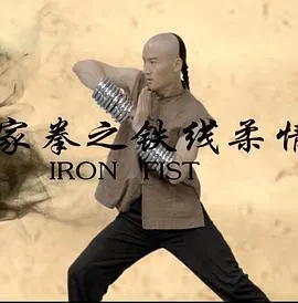 【动作片】百家拳之铁线柔情