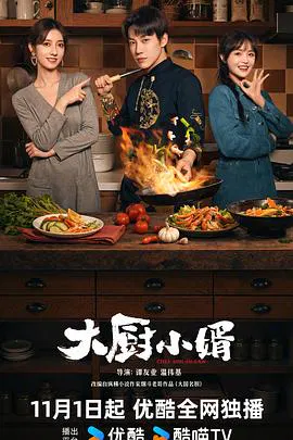 【国产剧】大厨小婿